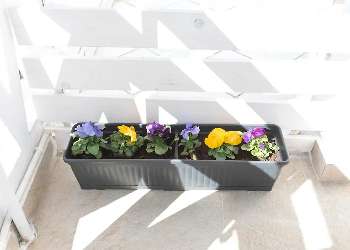 Апартаменты Bs House 2 Салоники