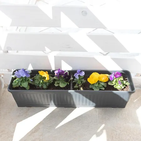 Appartamento Bs House 2 Salonicco